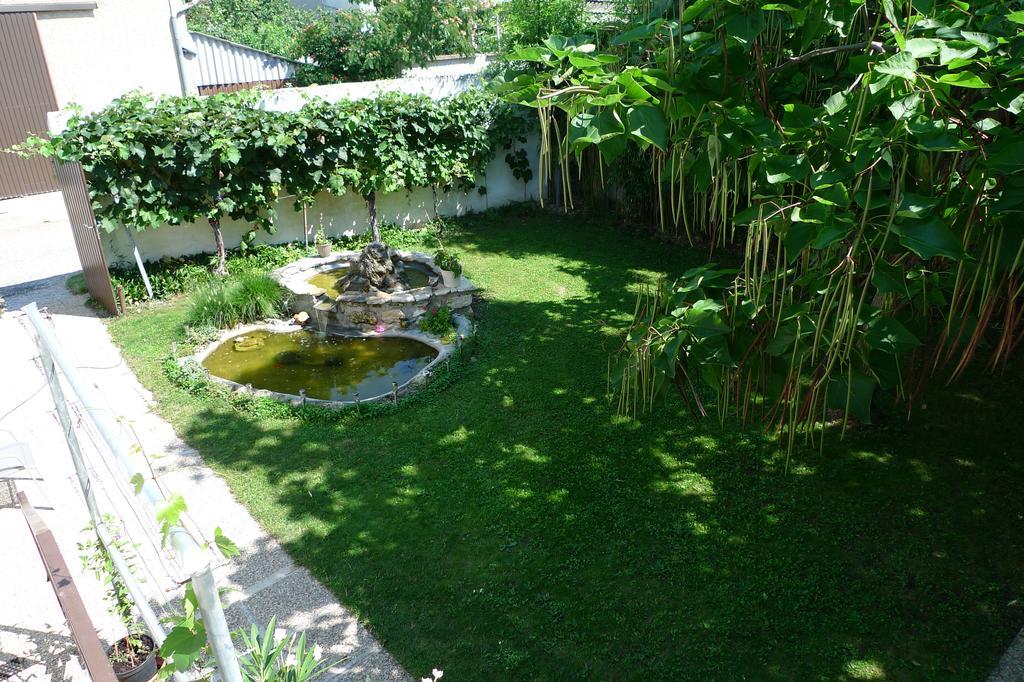 Gaestehaus Haider إلميتز المظهر الخارجي الصورة